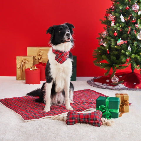 Karaca Home X Pati Snow Checkered Bandana, Red