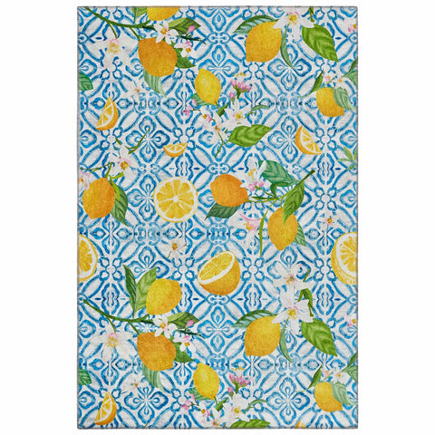 Kasmir Rugs Decorative Art Lemon Kitchen Rug, 120cmx180cm, Multi