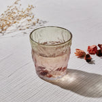 Karaca Glacier Glass Tumbler Glass, 287ml, Transparent Red Green