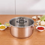 Karaca Grace Stainless Steel Induction Stockpot with Lid, 24cm, Silver