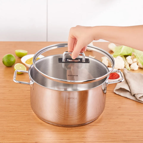 Karaca Grace Stainless Steel Induction Stockpot with Lid, 26cm, Silver