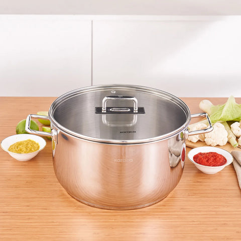 Karaca Grace Stainless Steel Induction Stockpot with Lid, 28cm, Silver